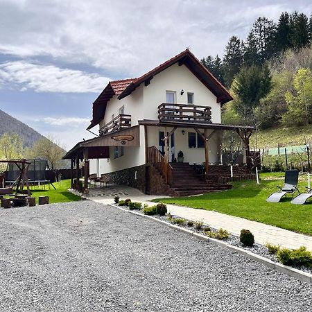 Zărneşti Casa De Sub Horaヴィラ エクステリア 写真