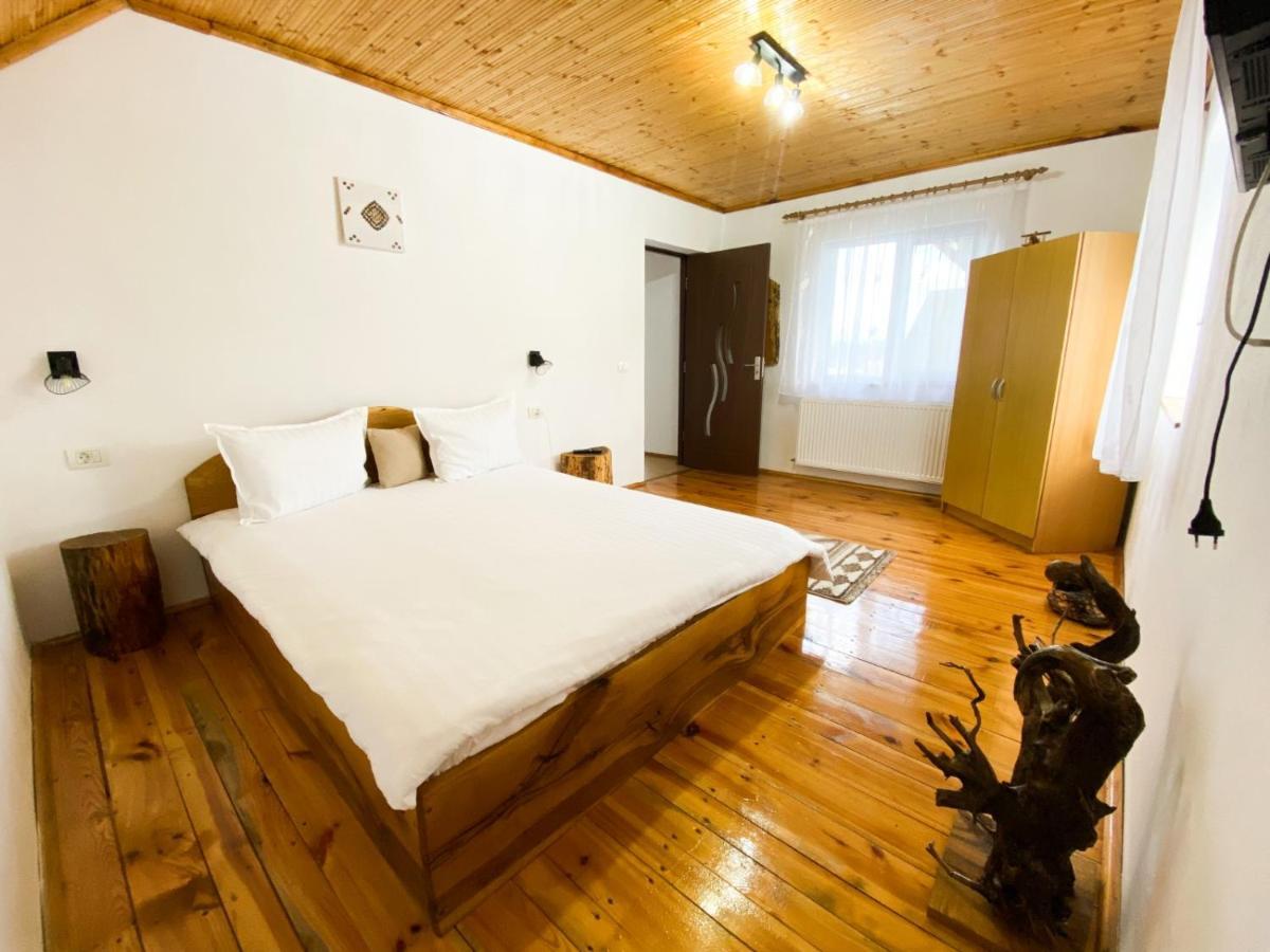 Zărneşti Casa De Sub Horaヴィラ エクステリア 写真